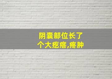 阴囊部位长了个大疙瘩,疼肿