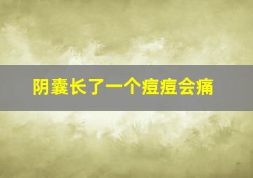 阴囊长了一个痘痘会痛