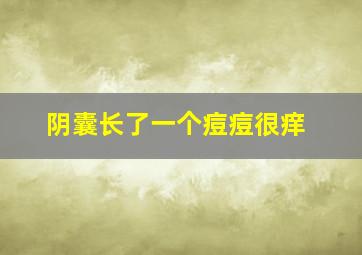 阴囊长了一个痘痘很痒