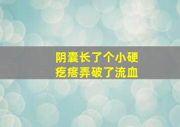 阴囊长了个小硬疙瘩弄破了流血