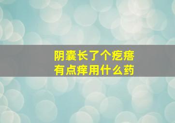 阴囊长了个疙瘩有点痒用什么药