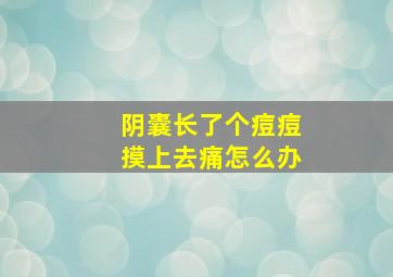 阴囊长了个痘痘摸上去痛怎么办