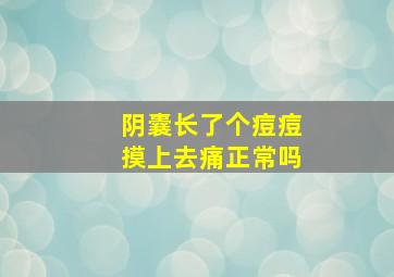 阴囊长了个痘痘摸上去痛正常吗