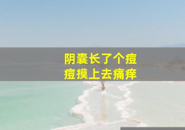 阴囊长了个痘痘摸上去痛痒