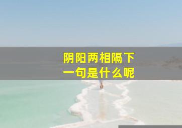 阴阳两相隔下一句是什么呢