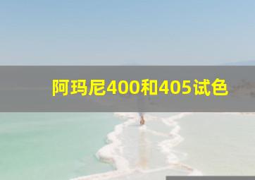 阿玛尼400和405试色