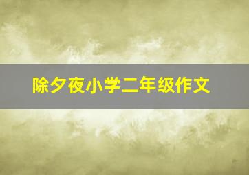 除夕夜小学二年级作文