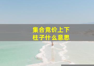 集合竞价上下柱子什么意思