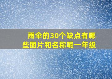 雨伞的30个缺点有哪些图片和名称呢一年级