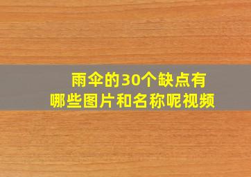 雨伞的30个缺点有哪些图片和名称呢视频