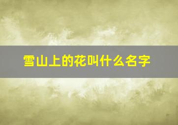 雪山上的花叫什么名字