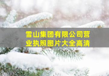 雪山集团有限公司营业执照图片大全高清