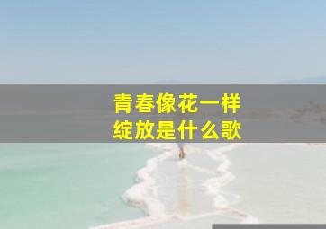 青春像花一样绽放是什么歌