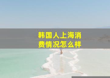 韩国人上海消费情况怎么样