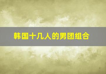 韩国十几人的男团组合