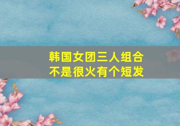 韩国女团三人组合不是很火有个短发