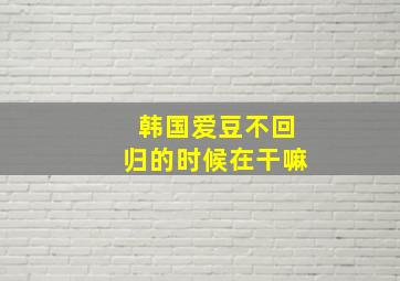 韩国爱豆不回归的时候在干嘛