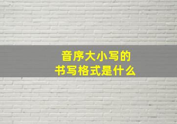 音序大小写的书写格式是什么