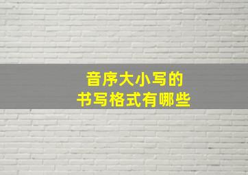 音序大小写的书写格式有哪些