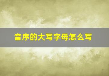 音序的大写字母怎么写