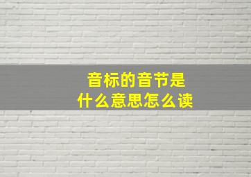 音标的音节是什么意思怎么读