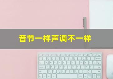 音节一样声调不一样