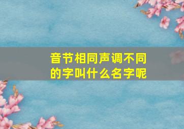 音节相同声调不同的字叫什么名字呢