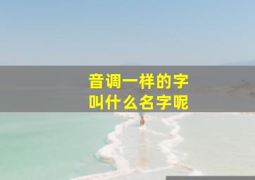 音调一样的字叫什么名字呢