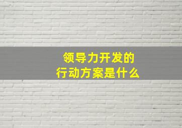 领导力开发的行动方案是什么