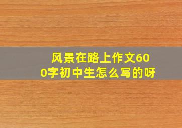 风景在路上作文600字初中生怎么写的呀