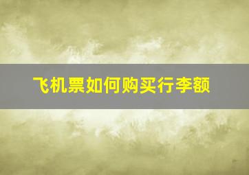 飞机票如何购买行李额