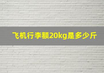 飞机行李额20kg是多少斤