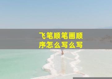 飞笔顺笔画顺序怎么写么写