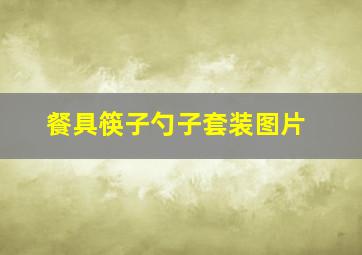 餐具筷子勺子套装图片