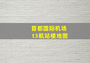 首都国际机场t3航站楼地图