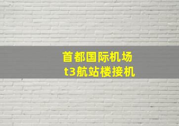 首都国际机场t3航站楼接机