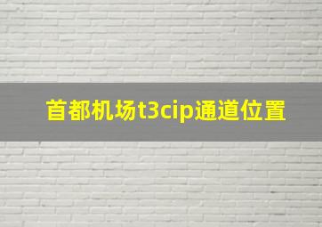 首都机场t3cip通道位置