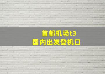 首都机场t3国内出发登机口