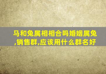 马和兔属相相合吗婚姻属兔,销售群,应该用什么群名好