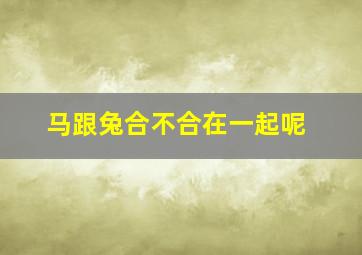 马跟兔合不合在一起呢