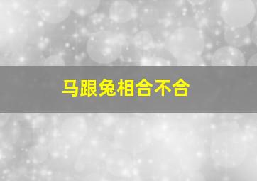 马跟兔相合不合