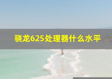 骁龙625处理器什么水平