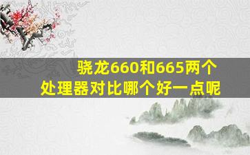 骁龙660和665两个处理器对比哪个好一点呢