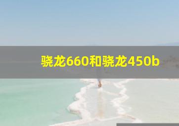 骁龙660和骁龙450b