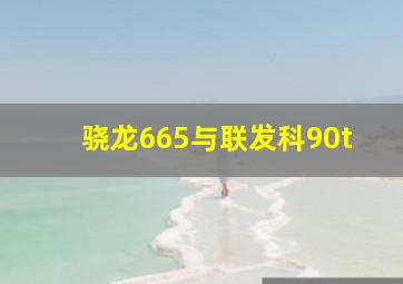 骁龙665与联发科90t