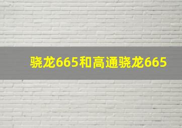 骁龙665和高通骁龙665