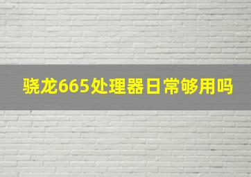 骁龙665处理器日常够用吗