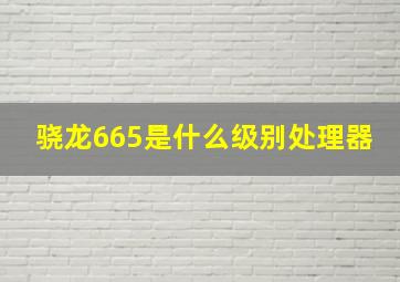 骁龙665是什么级别处理器