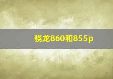 骁龙860和855p