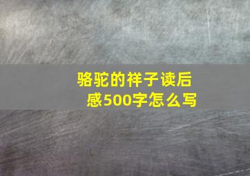 骆驼的祥子读后感500字怎么写